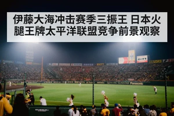 baseball stadium night game